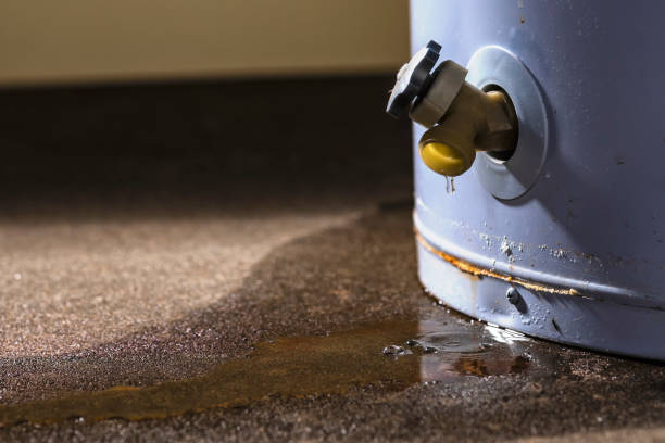  Truth Or Consequences, NM Water damage restoration Pros