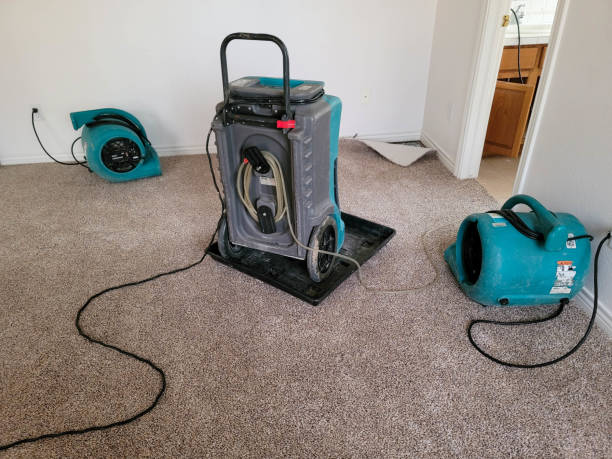 Best Professional water damage repair  in Truth Or Consequences, NM