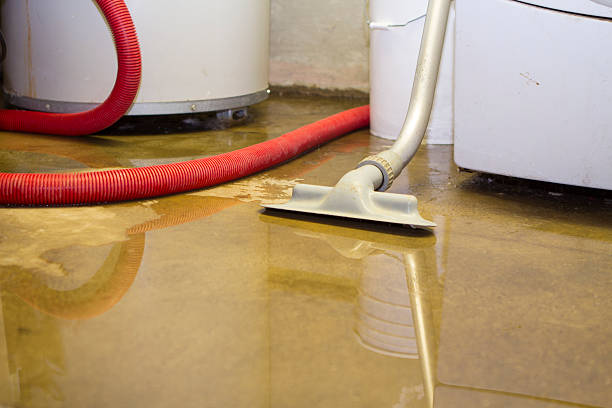 Best Sewage cleanup and water damage restoration  in Truth Or Consequences, NM